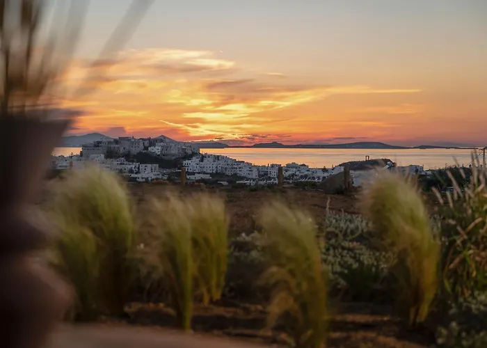 Opuntia Willa Naxos City