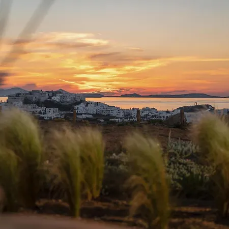 Opuntia Vila Naxos City