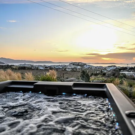 Vila Opuntia Naxos City